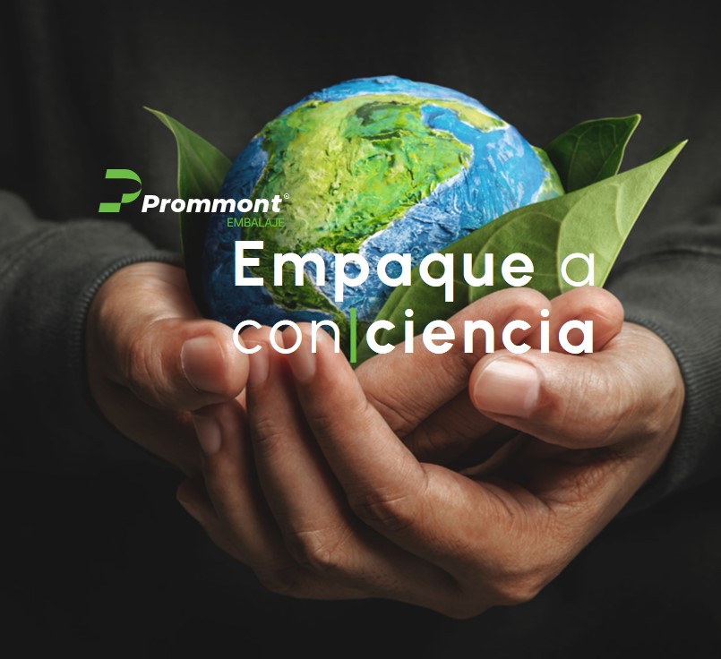 La importancia de la forestación: ¿Qué es y por qué es clave para el futuro del planeta?