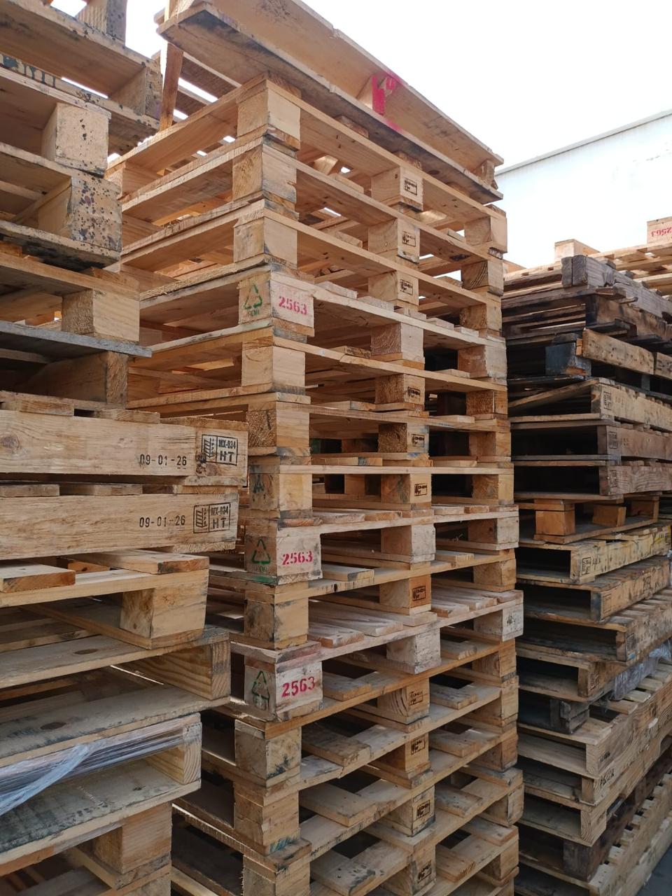 Tarimas de madera recicladas: una solución resistente y económica para el transporte intermodal