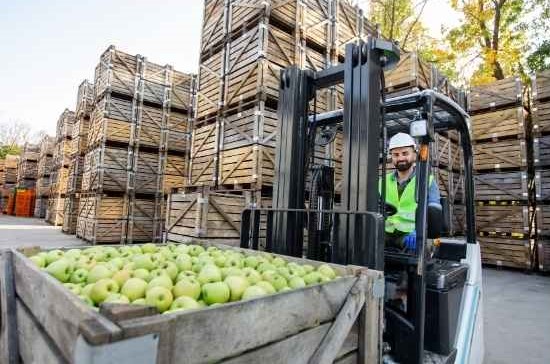 Productos alimentarios almacenados sobre tarimas de madera Imagen de productos alimentarios almacenados sobre tarimas de madera