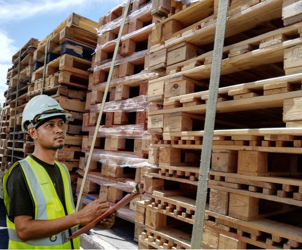 Personal de Prommont inspeccionando pallets reciclados Imagen de personal de Prommont inspeccionando pallets reciclados