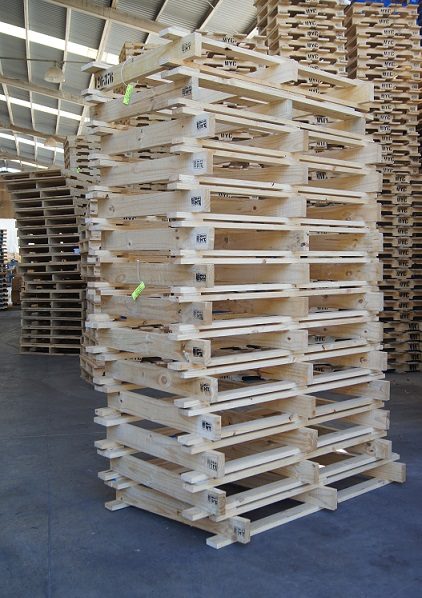 Tarima de madera de calidad, solo en Prommont Tarima de madera: Imagen de una pila de tarimas de madera de pino claro, dentro de un almacén.