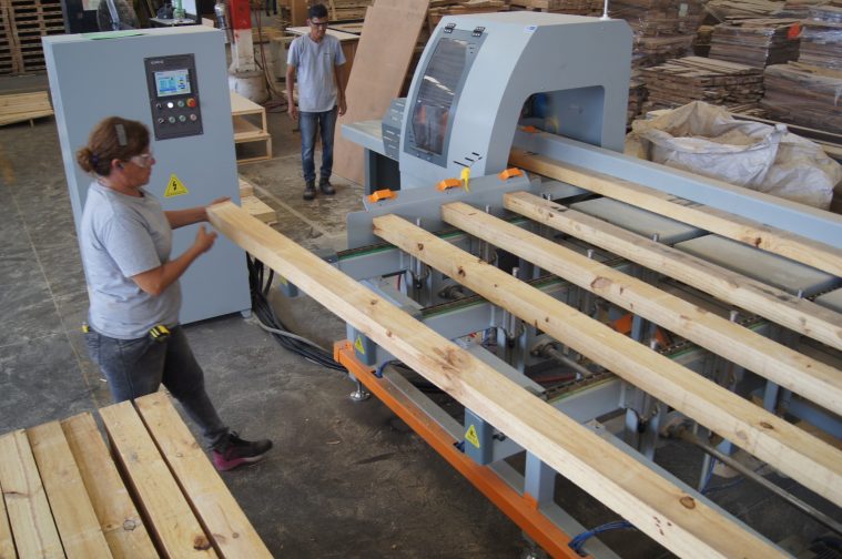 Mujer operando una máquina que procesa tablas de madera en un taller.